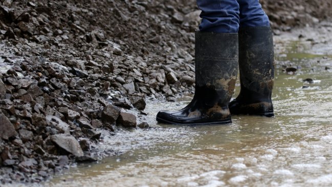 Onemi llamó a evacuar preventivamente sector El Alfalfal en el Cajón del Maipo