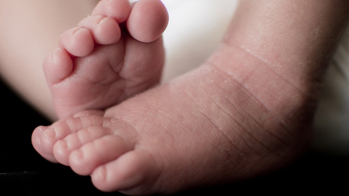 Detectan anticuerpos del Covid en un recién nacido tras la vacunación materna