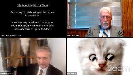   Filtro de gatito ridiculizó a abogado en plena audiencia 
