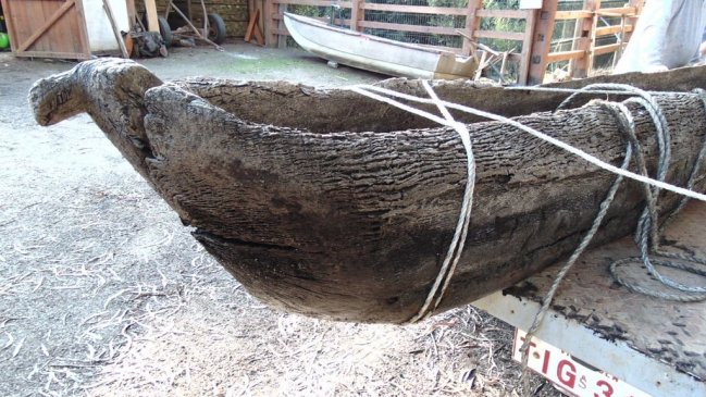 Sequía permitió hallazgo arqueológico de canoa mapuche en Laguna Torca  