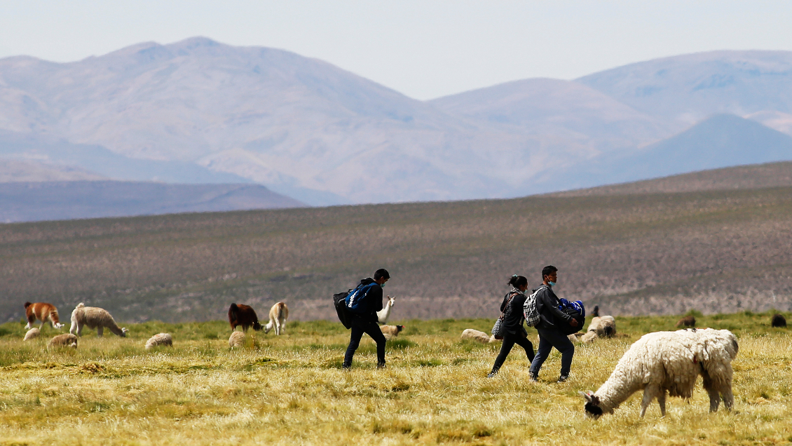 Encuesta Cadem: El 60% de los chilenos considera 