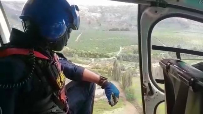 Curicó: PDI decomisó plantación de marihuana avaluada en 21 mil millones de pesos