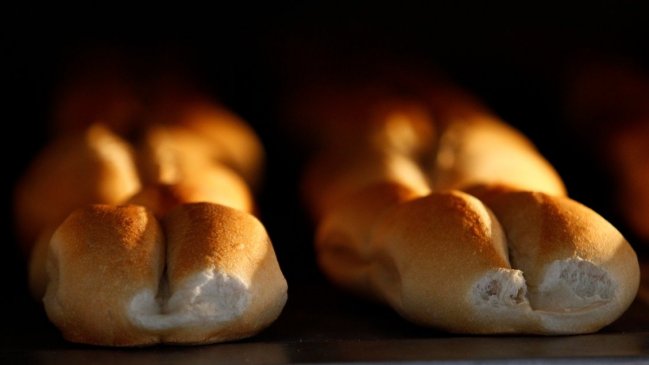 Salud abrió sumarios sanitarios contra una panadería y una importadora de Chillán