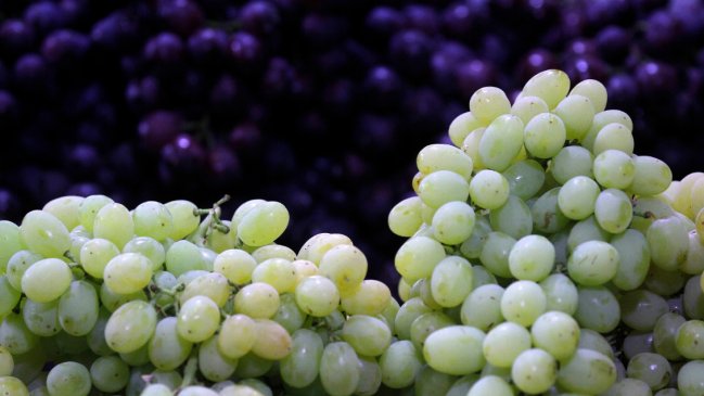 Productores de fruta lamentan pérdidas y falta de ayuda tras sistema frontal