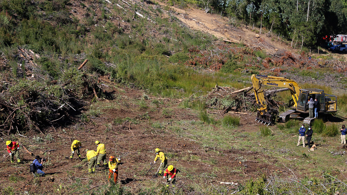 Sin resultados terminó nueva jornada de búsqueda de Tomás, a siete días de su desaparición