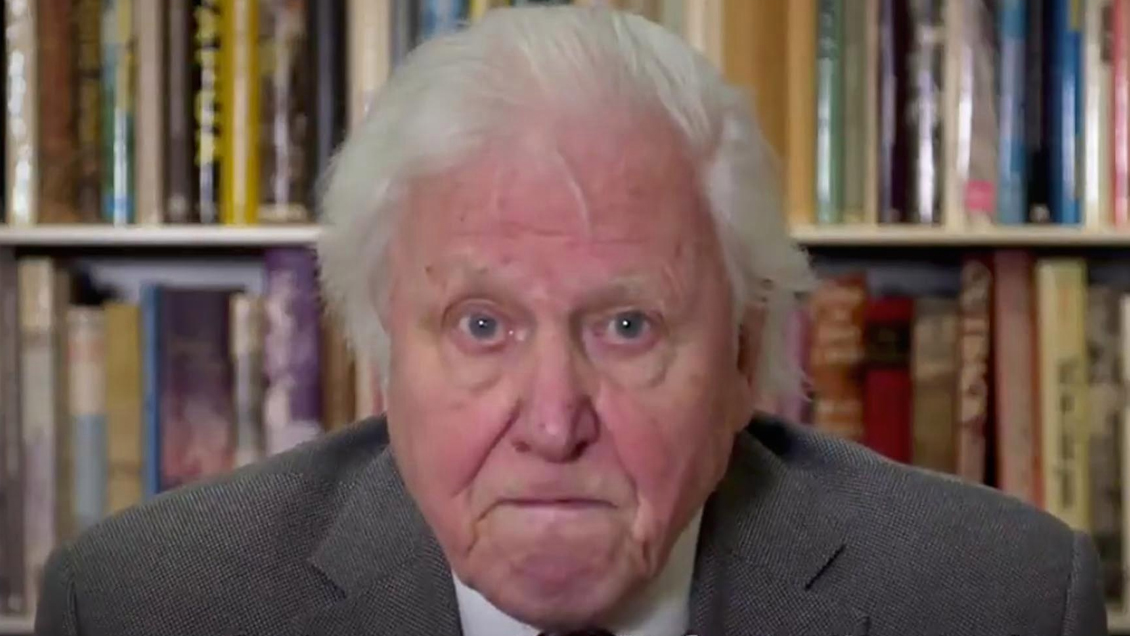Ante la ONU, David Attenborough advirtió del riesgo del 