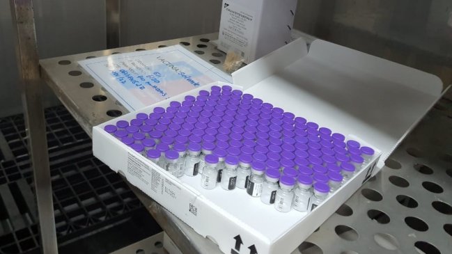Nueva remesa de vacunas Pfizer llega a Tarapacá para inmunizar a trabajadores de la educación