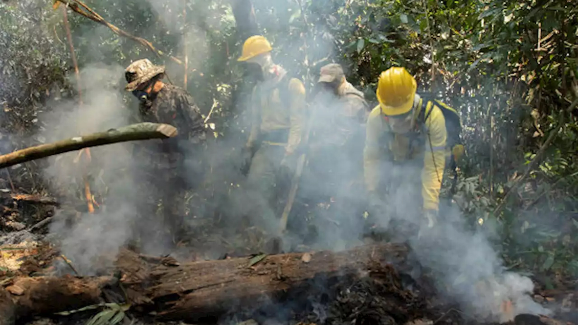Si seguimos destrozando la naturaleza, aumentará el riesgo de otras pandemias