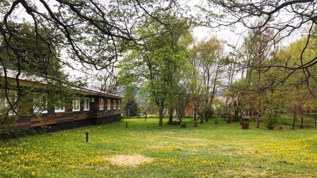 Prisión preventiva para docente universitario acusado de violar a estudiante en Coyhaique