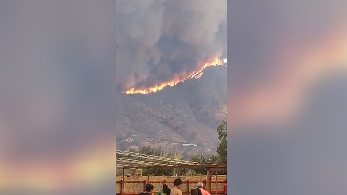 Incendio forestal en Curacaví está 