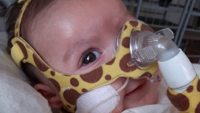 Grandes empresas del Maule se ausentaron de la 