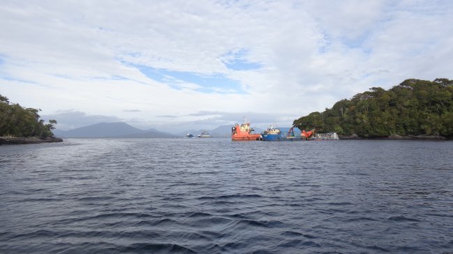 Medio Ambiente formuló cargos a dos centros de engorda de la empresa Blumar en Aysén