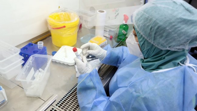 Anticuerpos de variante sudafricana de coronavirus ofrecen protección cruzada