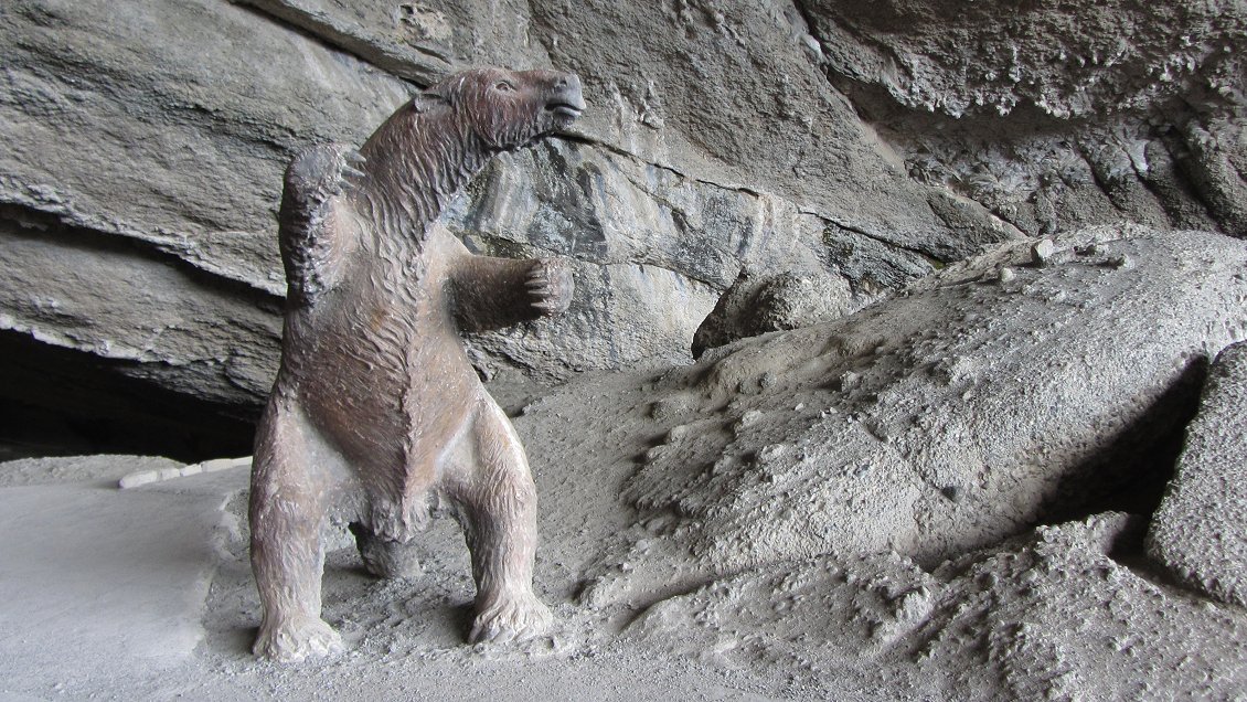 Incendio forestal amenaza a la Cueva del Milodón