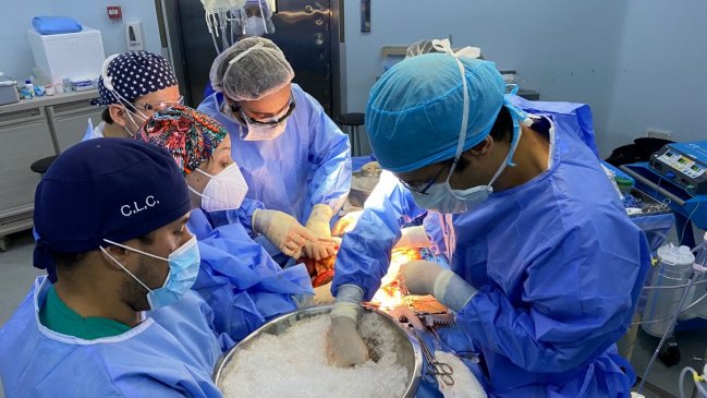  Covid-19 no impidió el aumento de trasplante de órganos en Coquimbo  