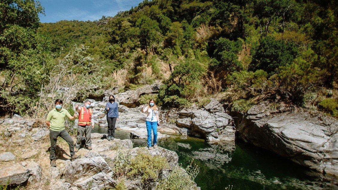 Servicios de Ñuble activan alianza para potenciar Reserva Los Huemules de Niblinto