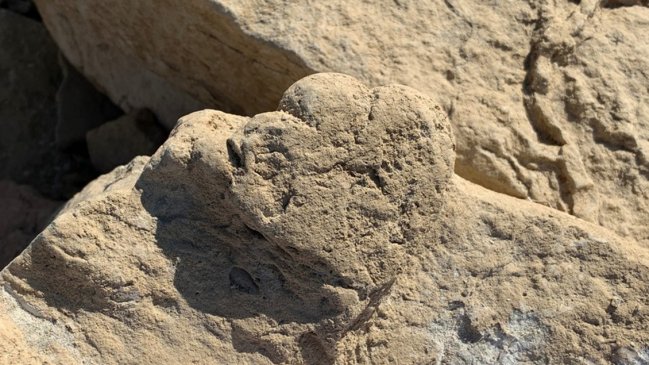 Científicos identifican huella de estegosaurio, la más pequeña encontrada hasta hoy