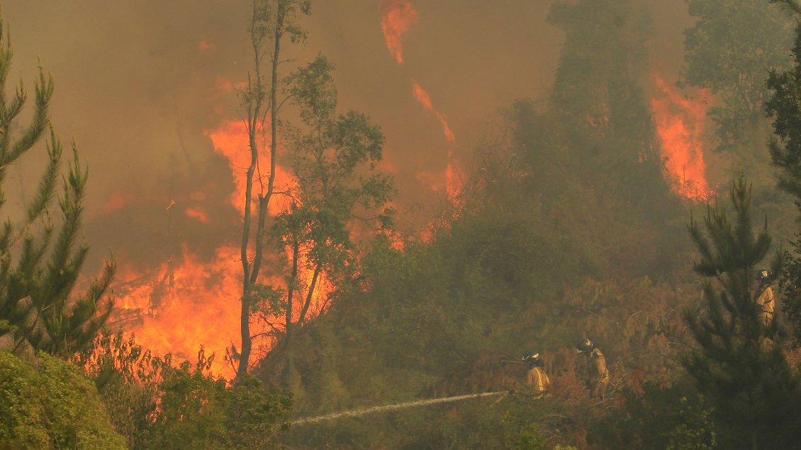 Gobierno por bonos a brigadistas forestales por horas extras: Hay que revisar este tipo de medidas