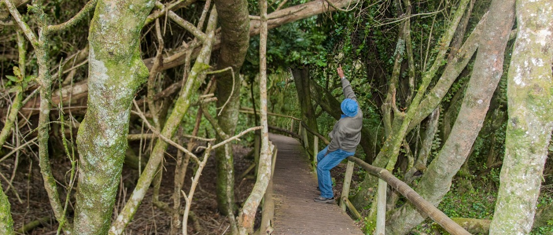 Buscan recertificar a importante parque de Ovalle como la primera Reserva Starlight de Chile