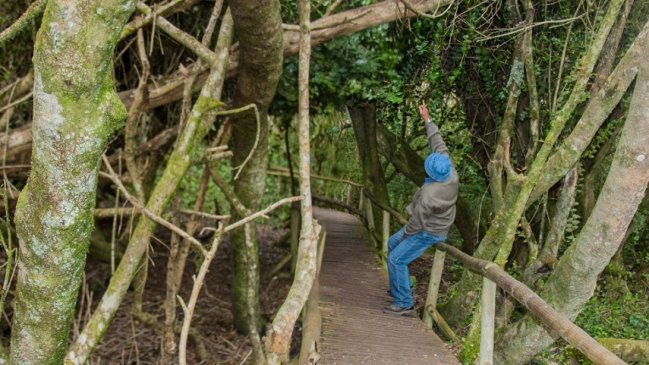 Buscan recertificar a importante parque de Ovalle como la primera Reserva Starlight de Chile
