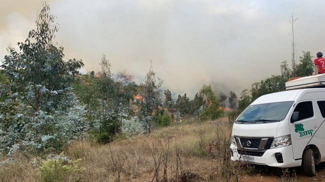 Decretan alerta roja en Valparaíso por incendio forestal que amenaza a la Reserva Peñuelas