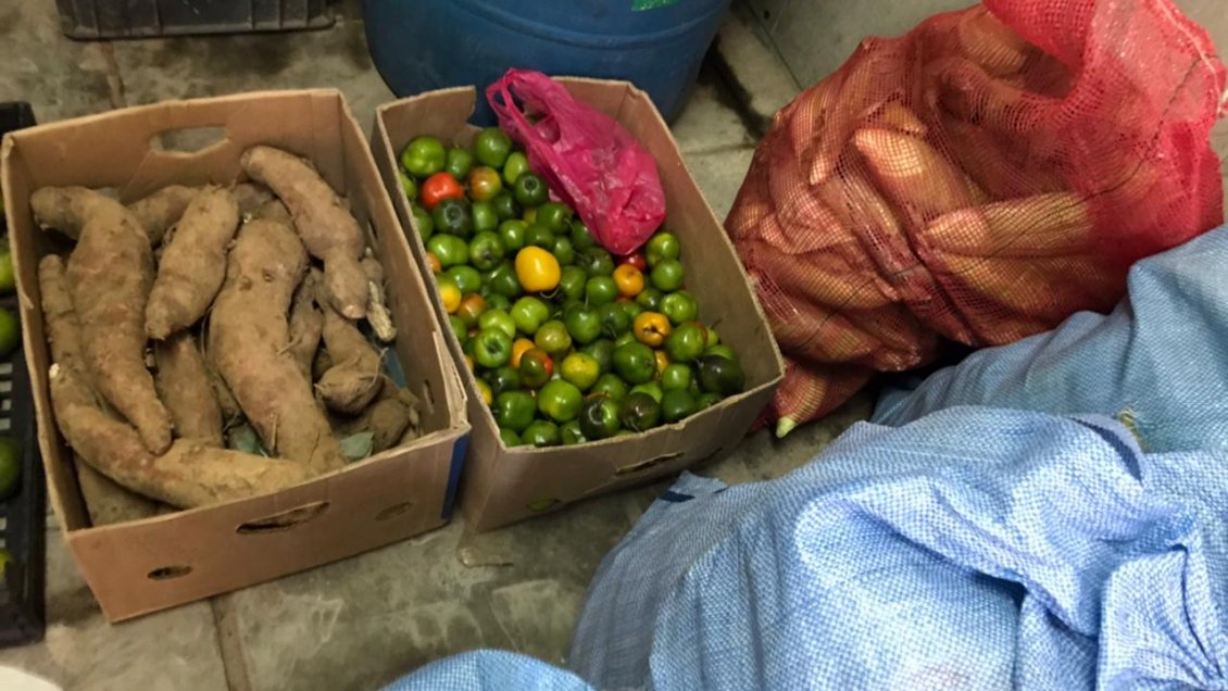 SAG Tarapacá incautó ocho toneladas de productos clandestinos entre enero y febrero