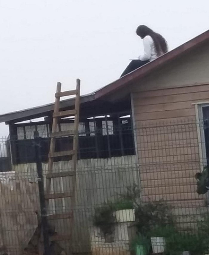 Imagen foto_00000012