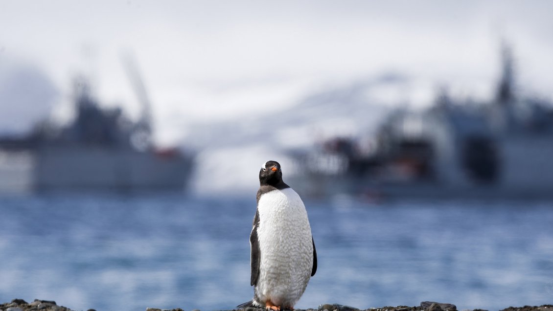 Gobierno puso en marcha el Observatorio de Cambio Climático en la Antártica