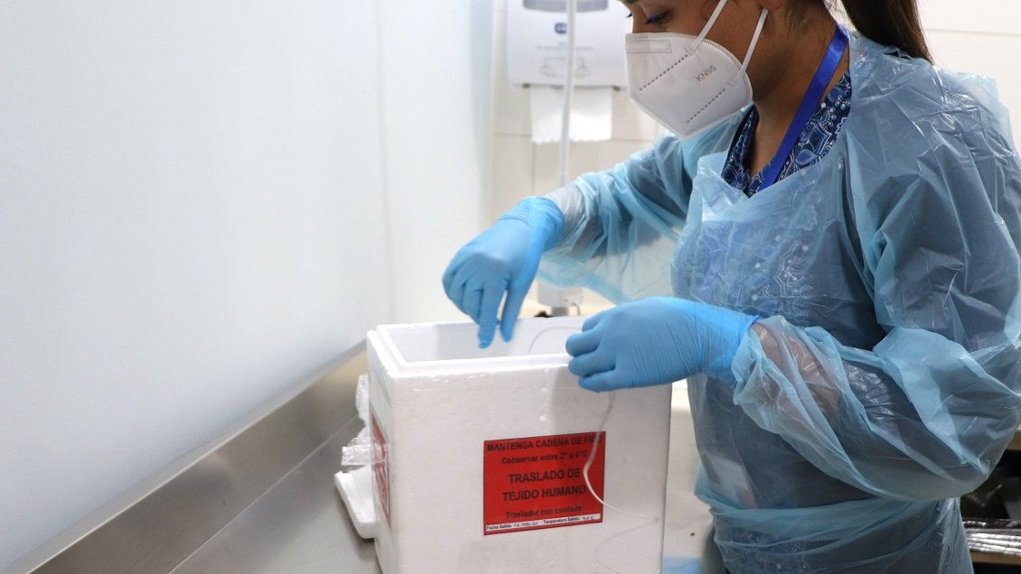 Tras 20 años, la Región de Coquimbo vuelve a realizar procuramiento de córneas