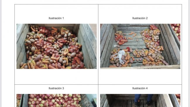 Contraloría detectó irregularidades en el control de entrega de cajas de alimentos en O'Higgins