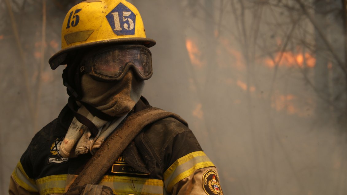 Alerta roja en Valparaíso por incendio forestal en Reserva Lago Peñuelas