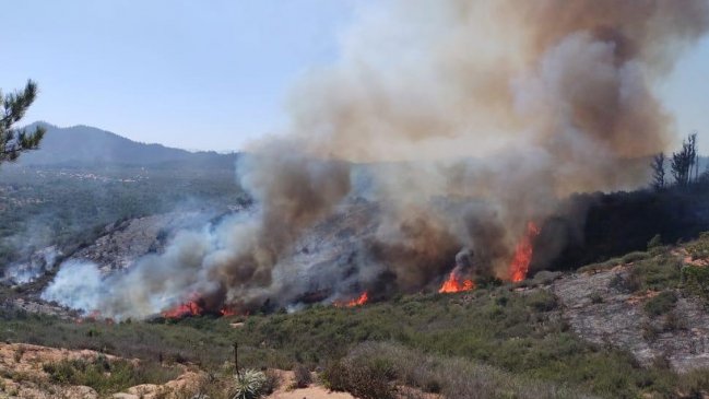 Controlado incendio de Valparaíso y Casablanca que afectó a Reserva Lago Peñuelas