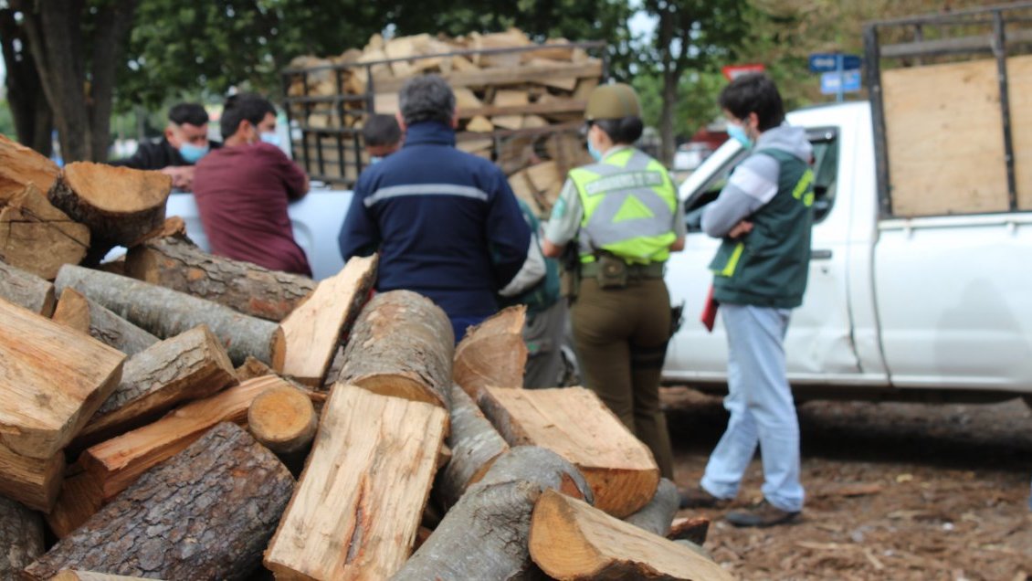 Conaf intensifica fiscalizaciones a la producción y venta de leña en Chillán y Chillán Viejo