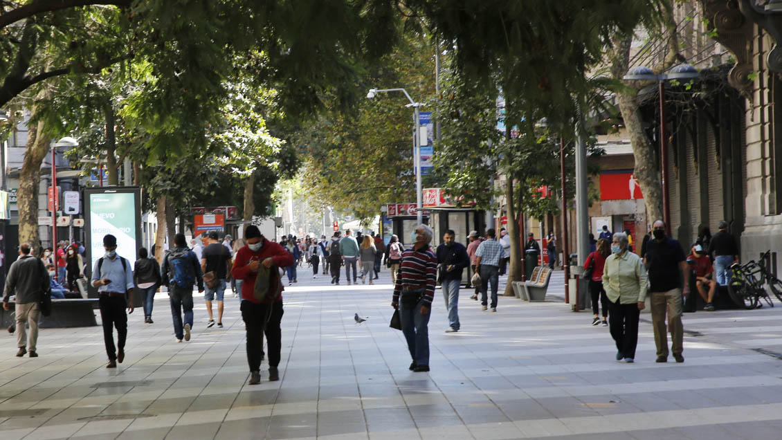 Experta del Consejo Asesor urge 