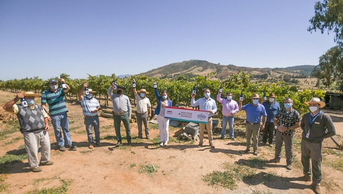 Viñateros de San Carlos lanzaron segunda edición de vino que logró reconocimiento mundial el 2020