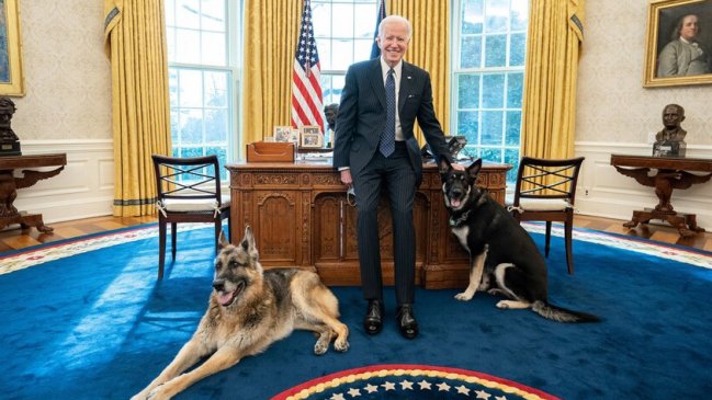 Uno de los perros de Biden volvió a morder a una persona en la Casa Blanca