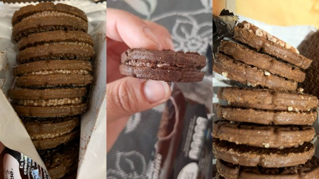 Denuncian presencia de 