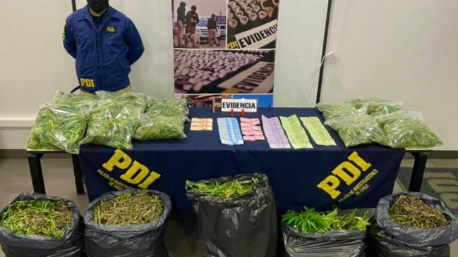 Incautan 34 kilos de marihuana desde domicilio en Santa Cruz