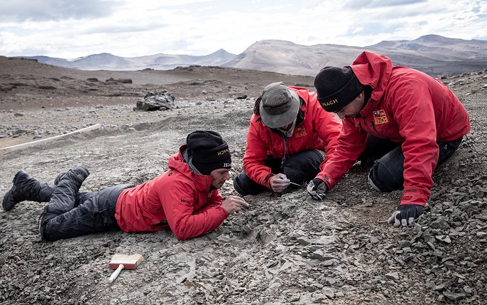 Imagen foto_00000024