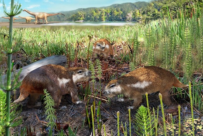 Imagen foto_00000025