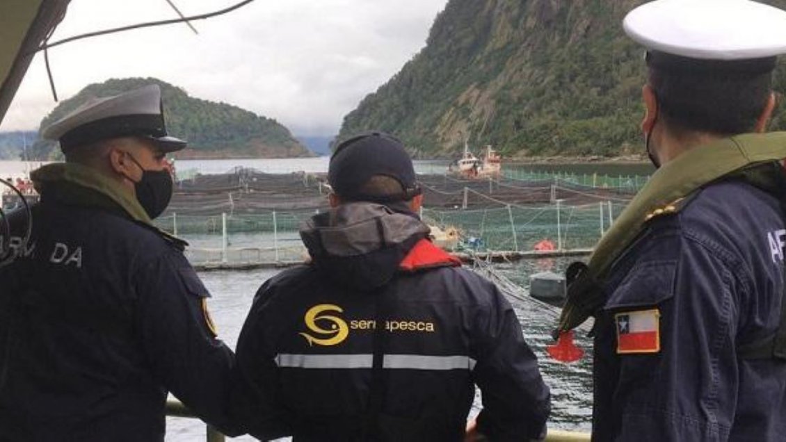 Preocupación en Talcahuano ante arribo de buque con carga de salmones muertos