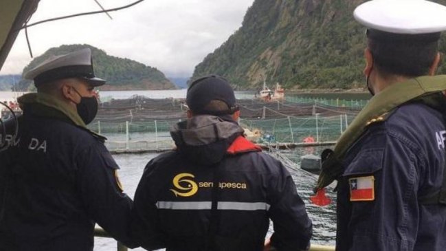 Preocupación en Talcahuano ante arribo de buque con carga de salmones muertos