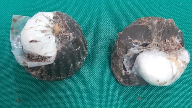 Mujer llevó bombones rellenos con pasta base a su pololo encarcelado