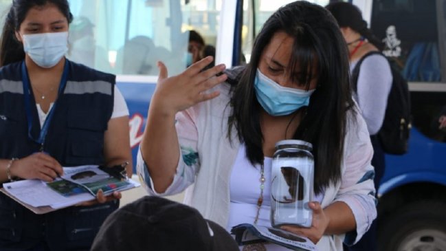 Primer caso de Hanta en el Maule fue trasladado a Temuco por falta de sistema de oxigenación