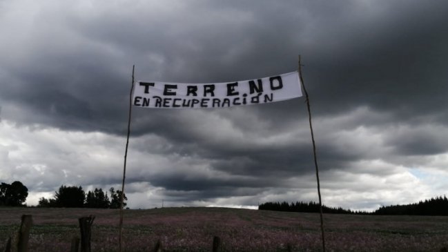 Usurpaciones de tierras en la macrozona sur aumentaron 688% el primer trimestre