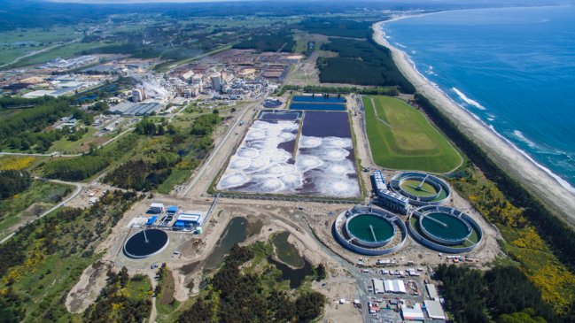 Seremi paralizó totalmente faenas de proyecto de la planta Arauco en el Biobío por deficiencias sanitarias