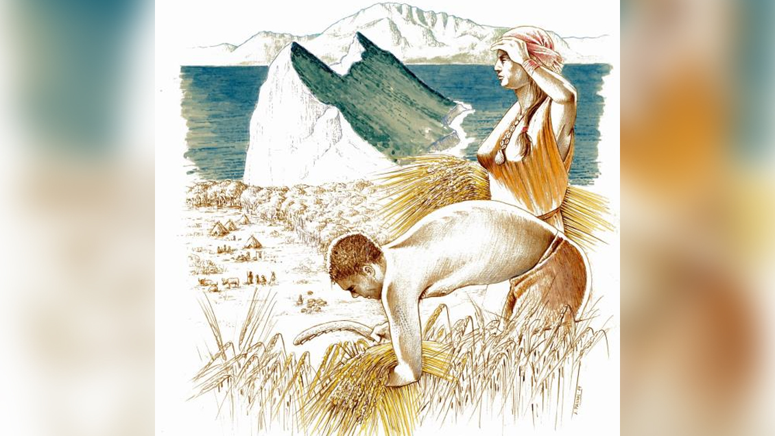 La división del trabajo por sexos empezó en Europa durante el Neolítico, según estudio