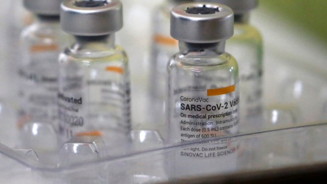 Vacuna Sinovac tiene 85% de éxito en prevenir hospitalización y 80% en evitar la muerte