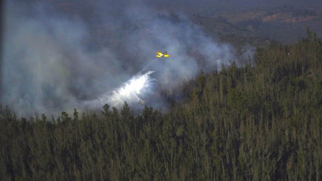 Múltiples incendios forestales mantienen con alerta roja a Valparaíso, Viña del Mar y Quilpué