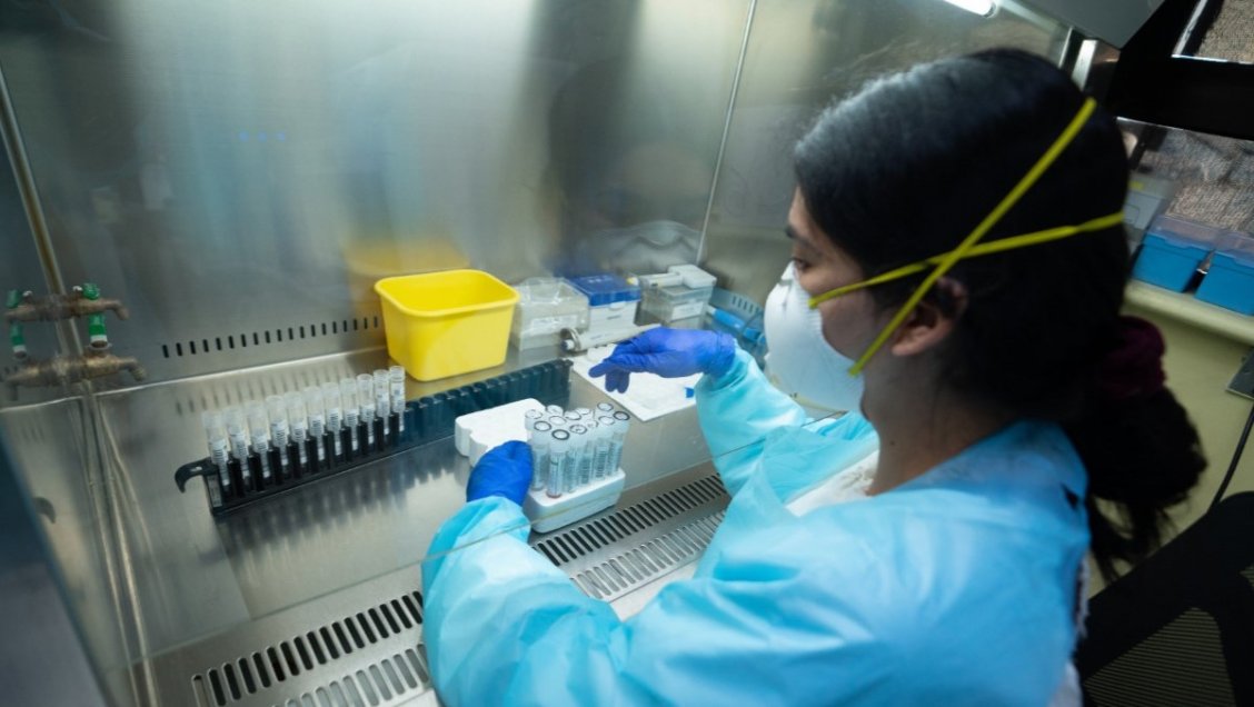 Cinco contagiados con variantes británica y brasileña han sido detectados en Ñuble